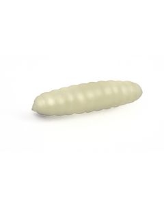 DAPPY WAXWORM - 966 NATURAL