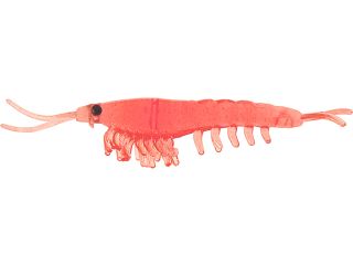 Product image variation